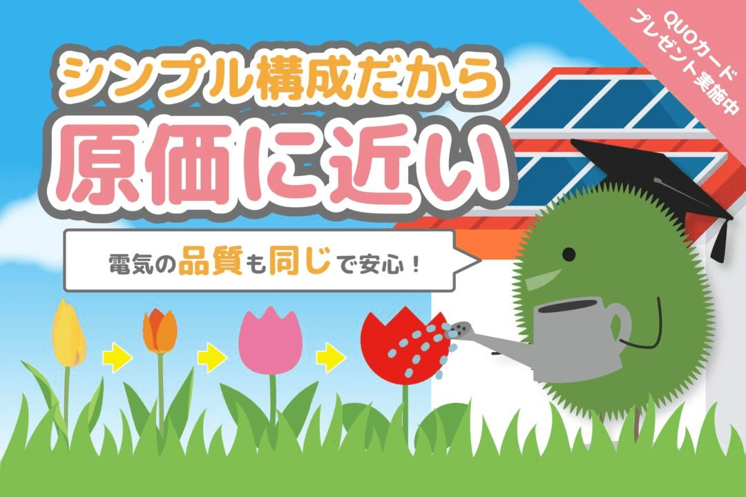 Looopでんきのキャンペーン[2026年4月版]